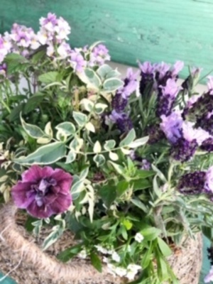 11月限定葉牡丹lesson