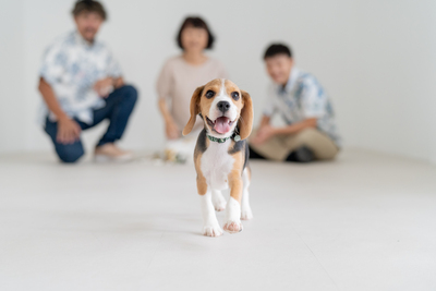 家族写真撮影（昼の部）