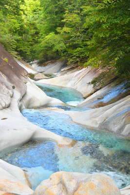 11月12日(土)【藤河内】渓谷を望む秋トレッキング