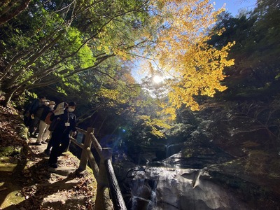 11月12日(土)【藤河内】渓谷を望む秋トレッキング