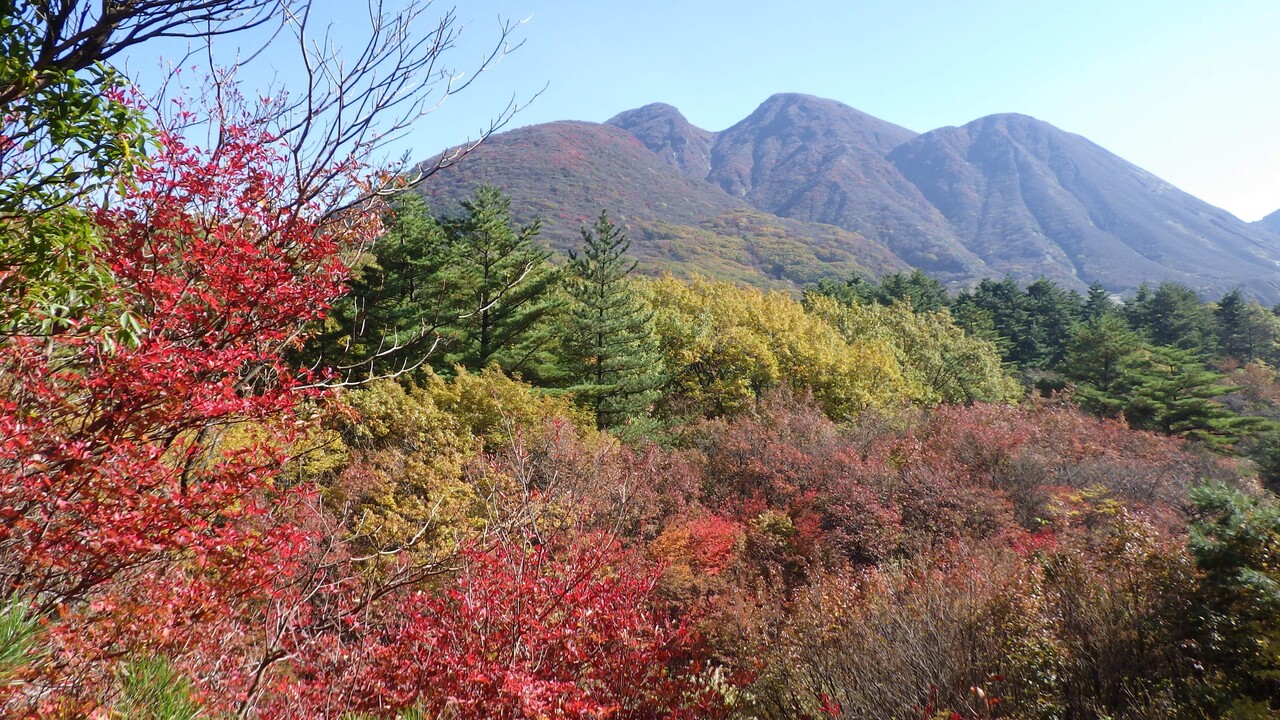 11月3日（木・祝）【九重】タデ原の源と原生林を探索する指山コース