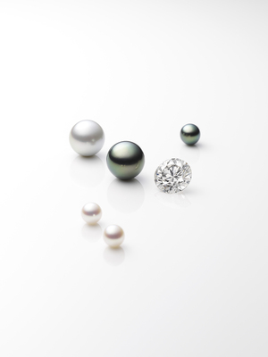 ショールーム予約