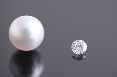 ショールーム予約