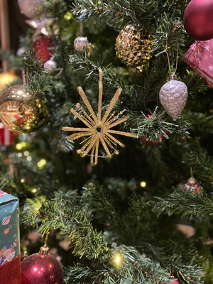 108回太陽礼拝 90min.～ワークショップ