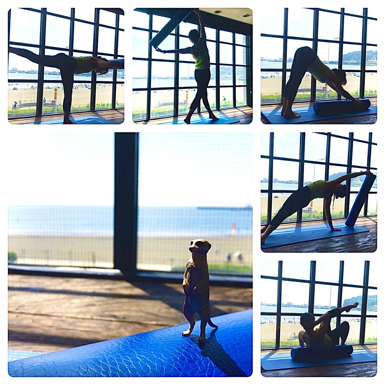 【ピラティス】ファンクショナルローラーピラティス（Yoshika)