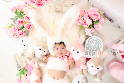 赤ちゃんうさぎ・うさぎ撮影会