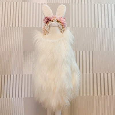 赤ちゃんうさぎ・うさぎ撮影会