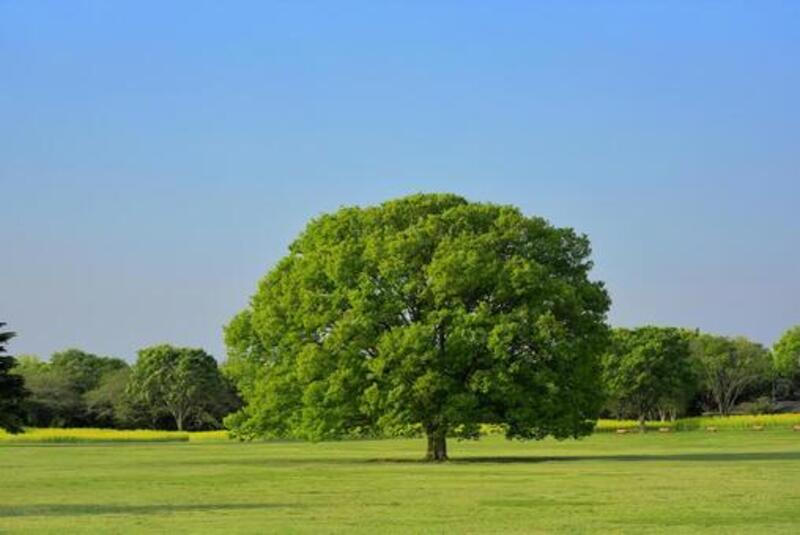 対面カウンセリング（2回目以降）