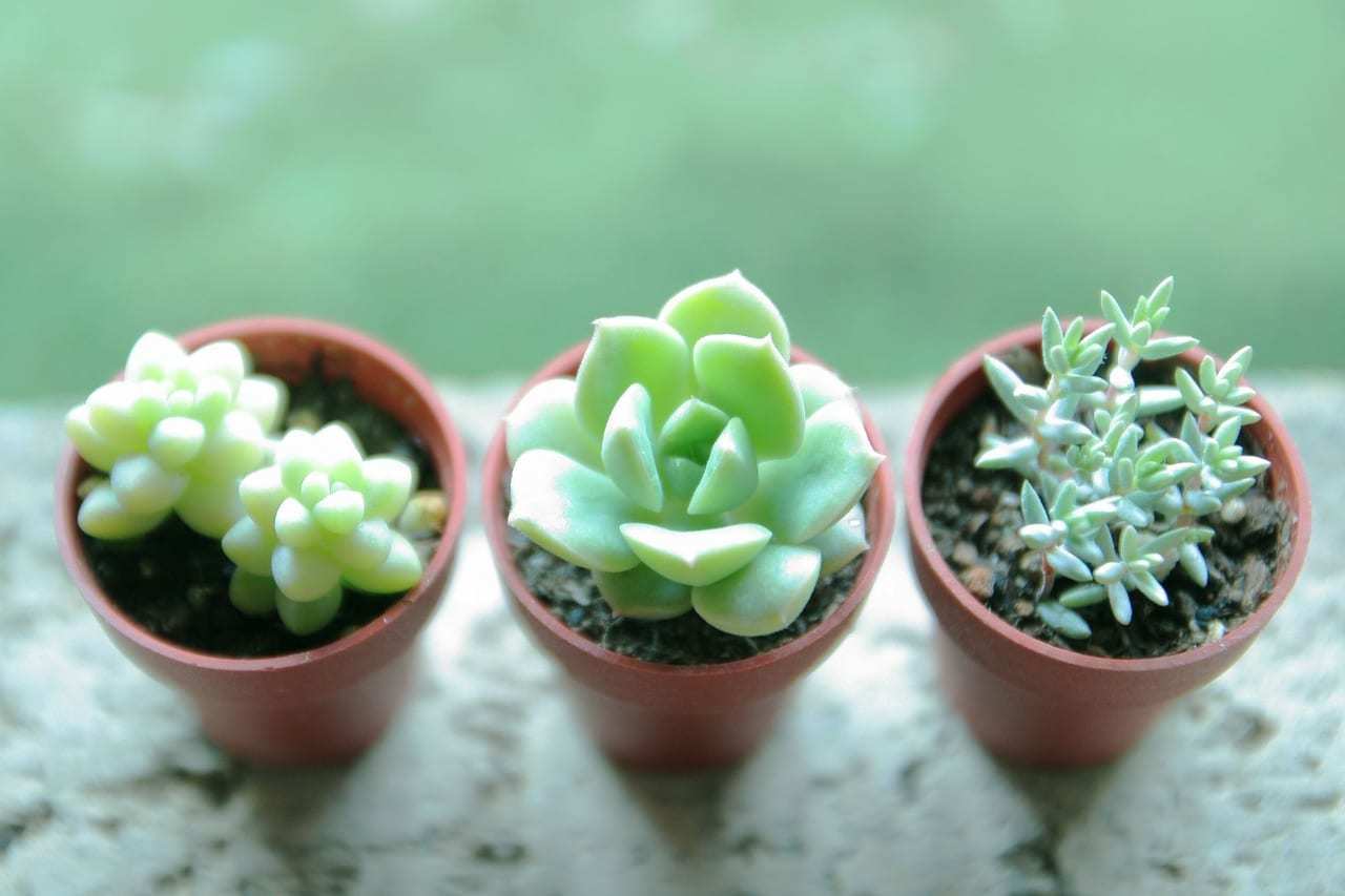 Zoom公文書写　保土ヶ谷駅北☆（月水土Zoom）