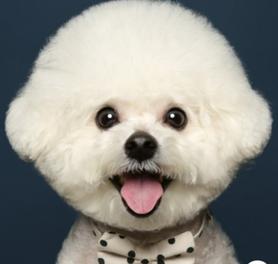 韓国語プライベートレッスンコース