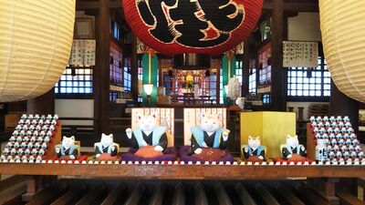 大阪ネコ歩きinディープ大阪ー猫写真を撮りに行こう！