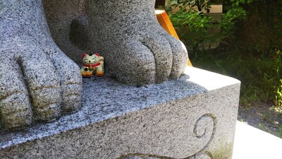 大阪ネコ歩きinディープ大阪ー猫写真を撮りに行こう！