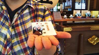 大阪ネコ歩きinディープ大阪ー猫写真を撮りに行こう！