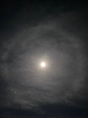 【 占いヒーリングサロン☆yumiの占いメニュー 】