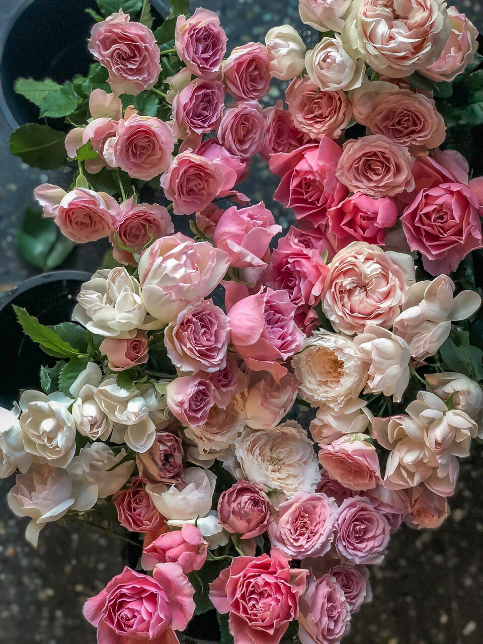  5月12・13日【花とお菓子のワークショップ】Mika先生の"花との暮らしを慈しむ　hanakurasu