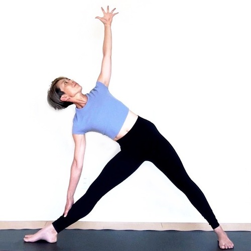 アライメントヨガ_SHIZUKA