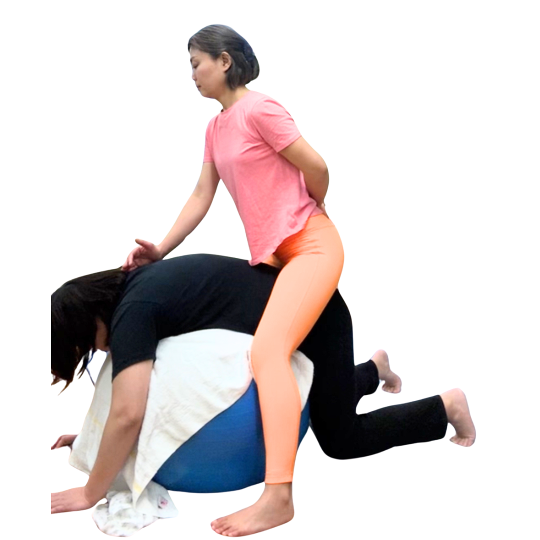 骨格ベクトレパーソナルセッション