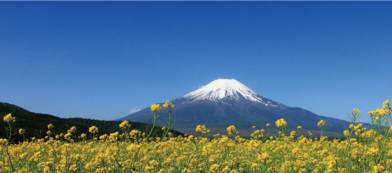 かしょう整心院　予約ページ
