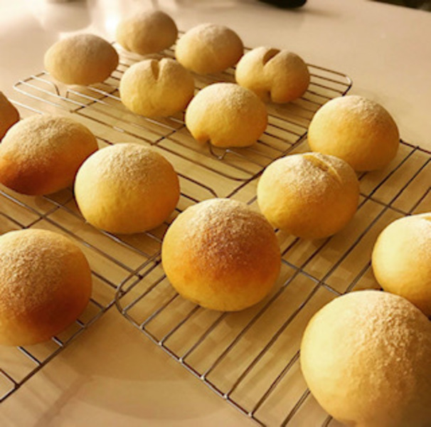 お豆腐パン（豆乳練乳クリーム添え）