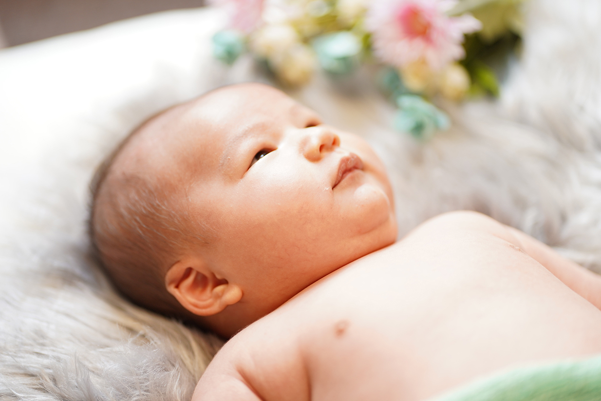 ちょろりんの会