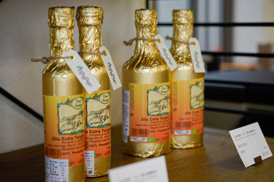 ＜発酵ビーガンイタリアン＞卵を使わない手打ちパスタ＆自家製大豆ミートボロネーゼ・幸せになる花のタルト