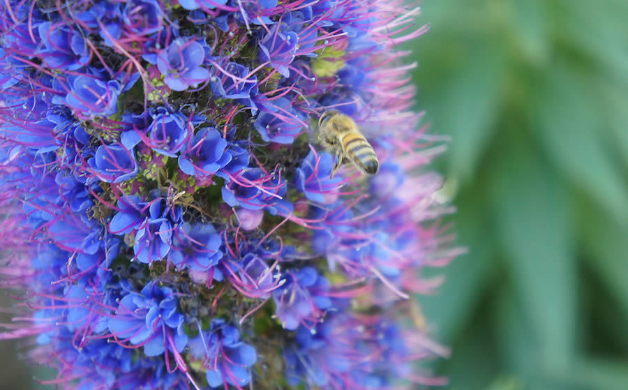 会員向けセミナー