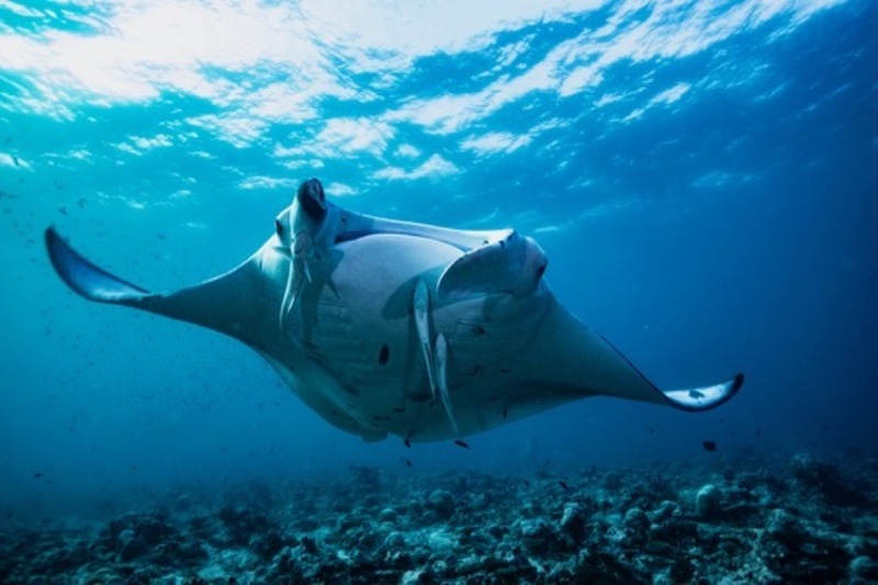 非常勤アシスト