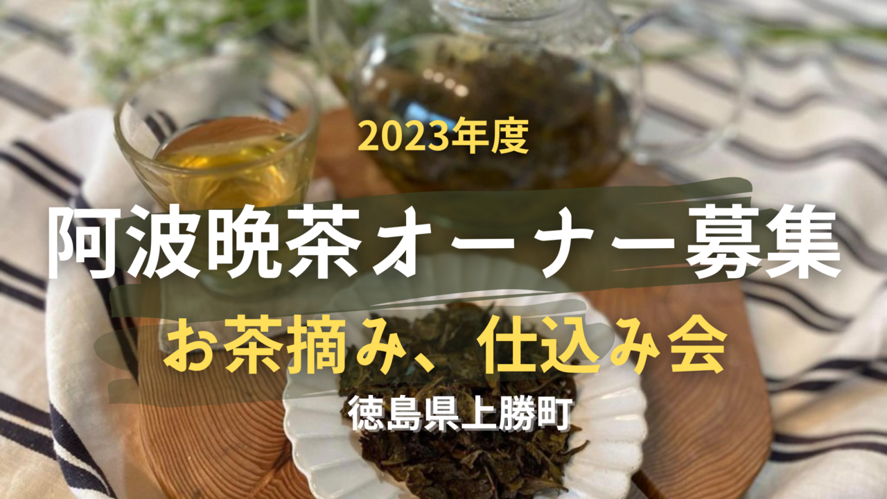 ２０２３年度＊オーナー募集＜徳島の発酵茶＞阿波晩茶＆お茶作り体験