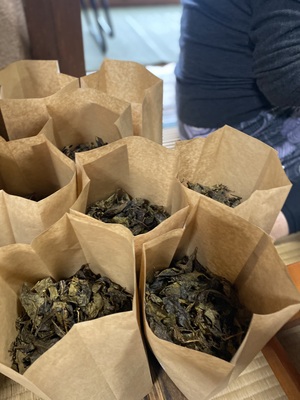 ２０２３年度＊オーナー募集＜徳島の発酵茶＞阿波晩茶＆お茶作り体験