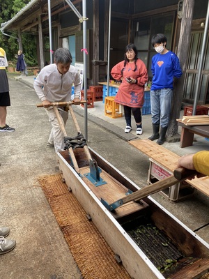 ２０２３年度＊オーナー募集＜徳島の発酵茶＞阿波晩茶＆お茶作り体験