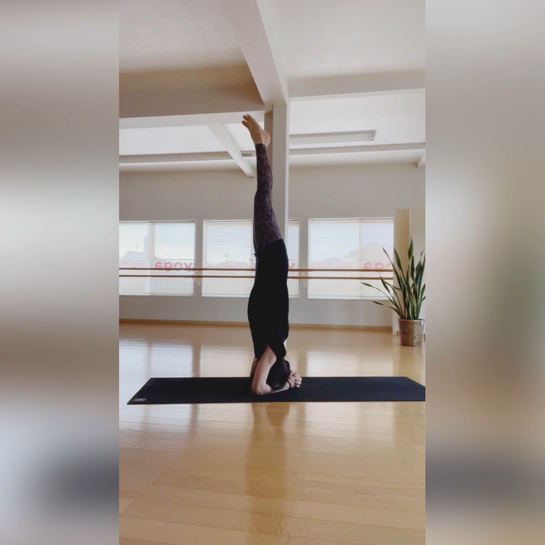 シルシアーサナWS