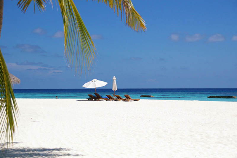 開運！ほほえみ鑑定　予約ページ