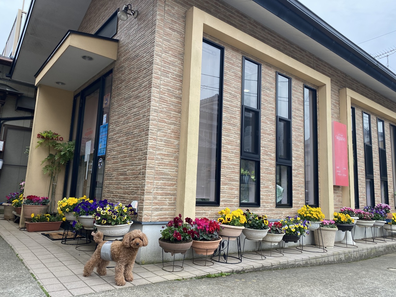 💈ヘアーサロンさがのリピーター専用予約サイト✂️ご新規の方は受付停止中です。