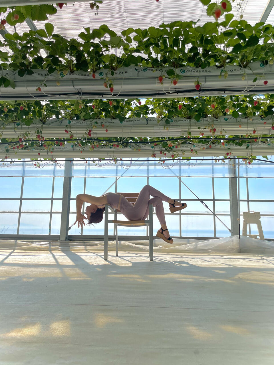 淡路島幸せヨガイベントin幸せのパンケーキ