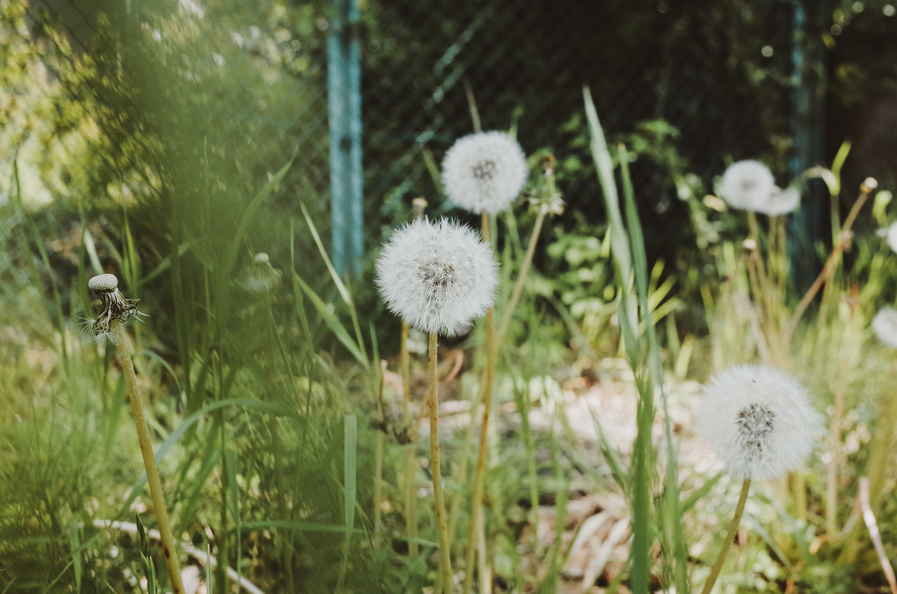 トナカイ「詩の朗読会と八つの質問」＊S席予約ページ