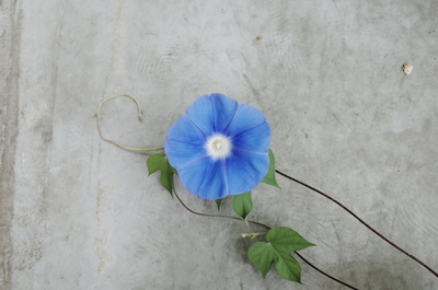 トナカイ「詩の朗読会と八つの質問」＊S席予約ページ