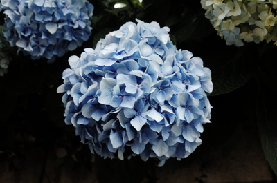 トナカイ「詩の朗読会と八つの質問」＊S席予約ページ