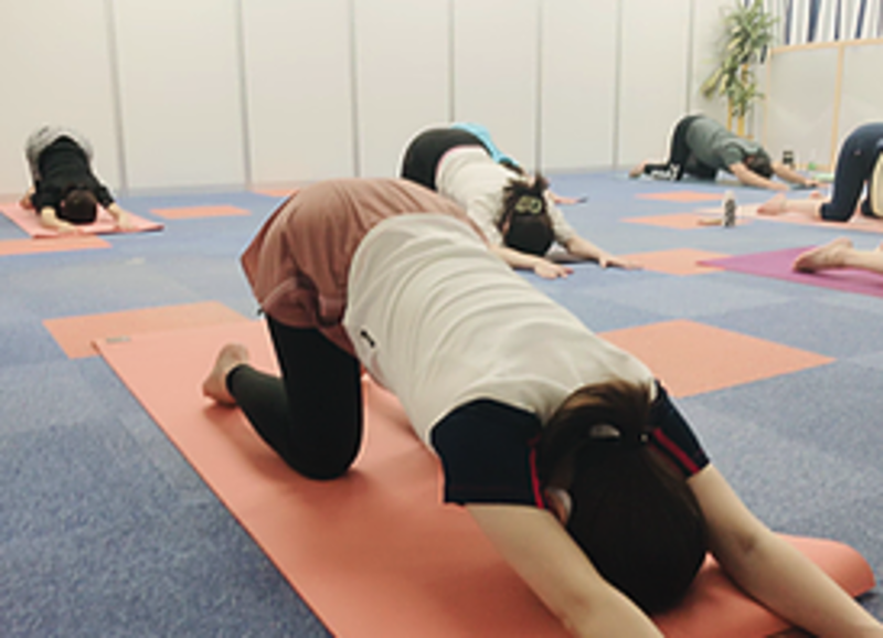 ハタヨガレッスン 予約受付