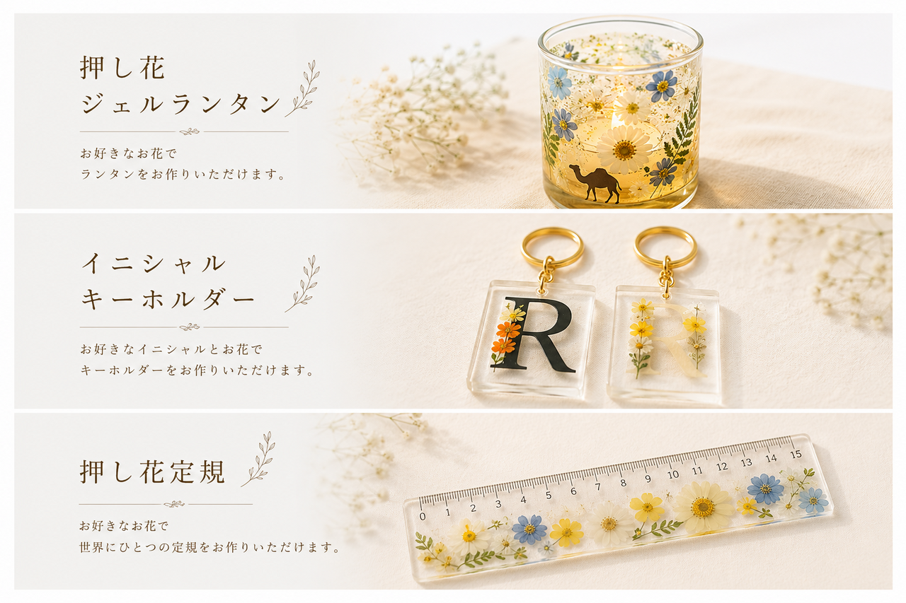 🐪鳥取砂丘 夏の押し花ワークショップ🌻