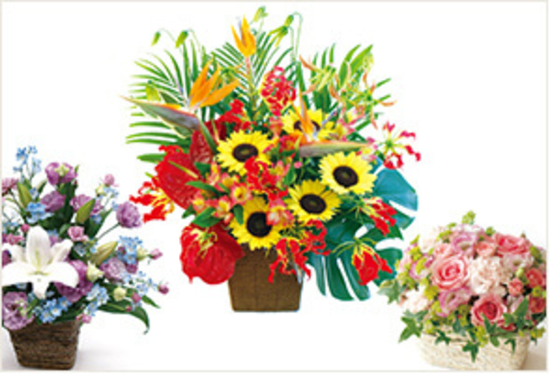 【華曜日倶楽部】 ギフトスケジュールチェックサービス