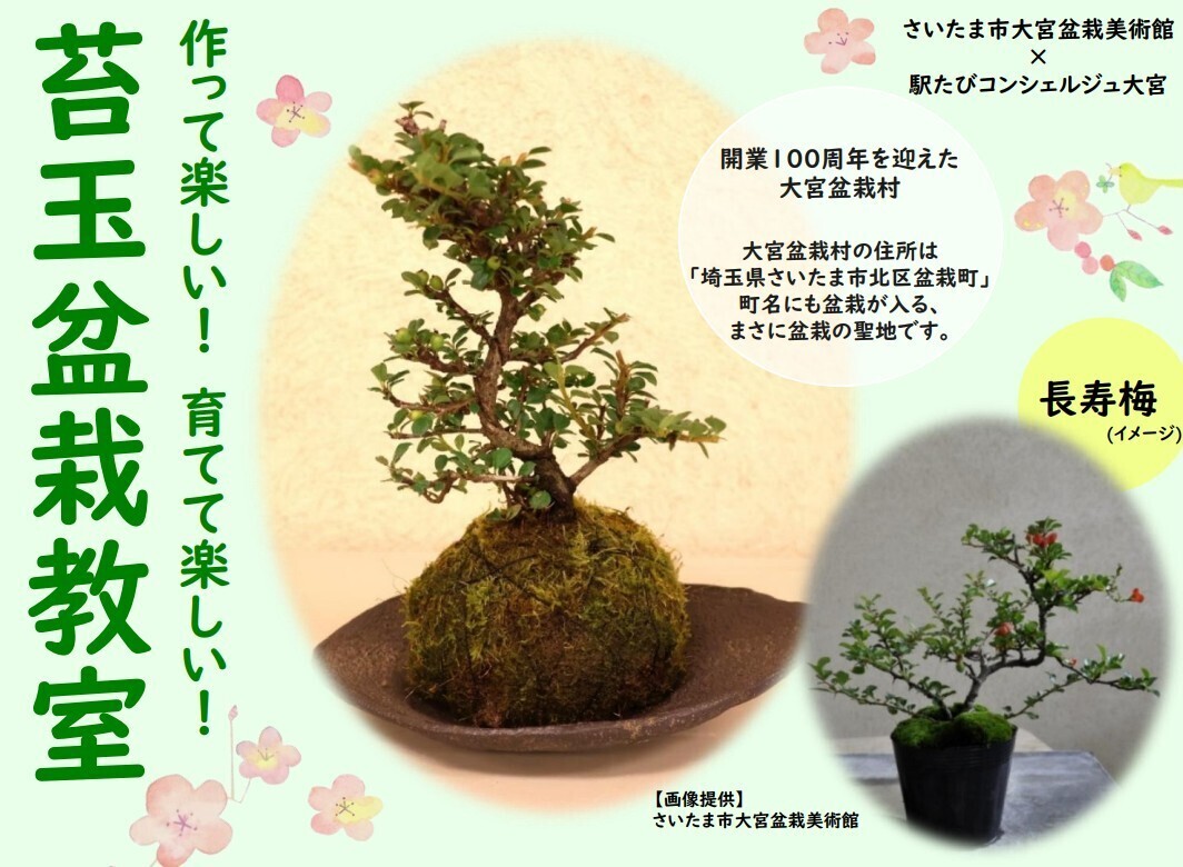 大宮・さいたま市大宮盆栽美術館×駅たびコンシェルジュ大宮 作って