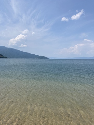 進化するための成長対話