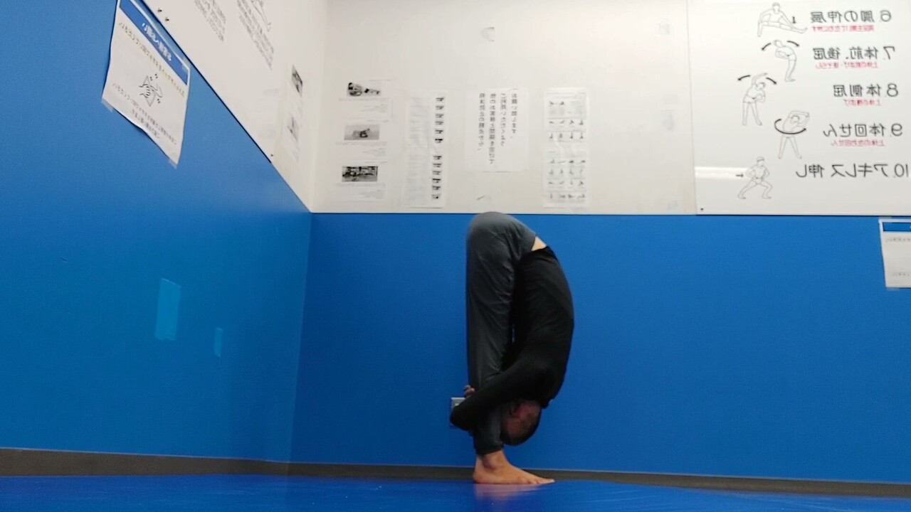 【オンライン火曜日】ヨガ(ベーシックアライメント)