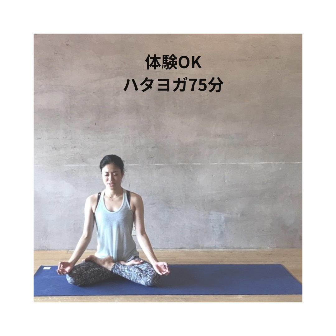 【体験】ハタヨガ75分