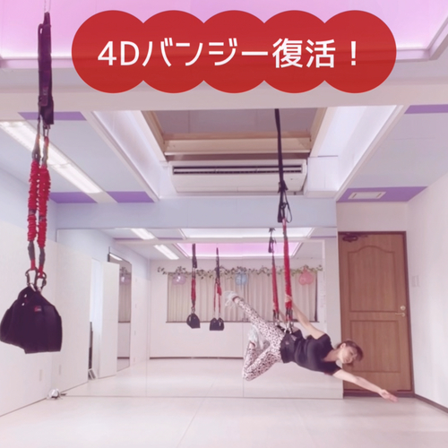 バンジーフィットネス4Dプロ　送料込⑤セットuser_f87b34bc様 Let's Bungee Fitness® !! – ドイツ発 新感覚体幹トレーニング