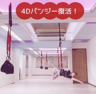 バンジーフィットネス4Dプロ　送料込⑤セットuser_f87b34bc様 バンジーフィットネス4Dプロ 送料込⑤セットuser_f87b34bc様 バンジー