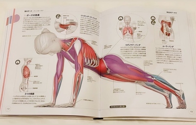 🧘‍♀️75分脂肪を捨てインナーマッスルを強化(ウエスト）