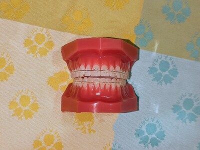 診療予約ページ