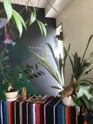 予約はこちらから