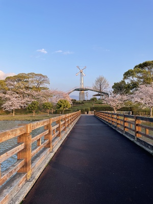 Keiko Japanese School 